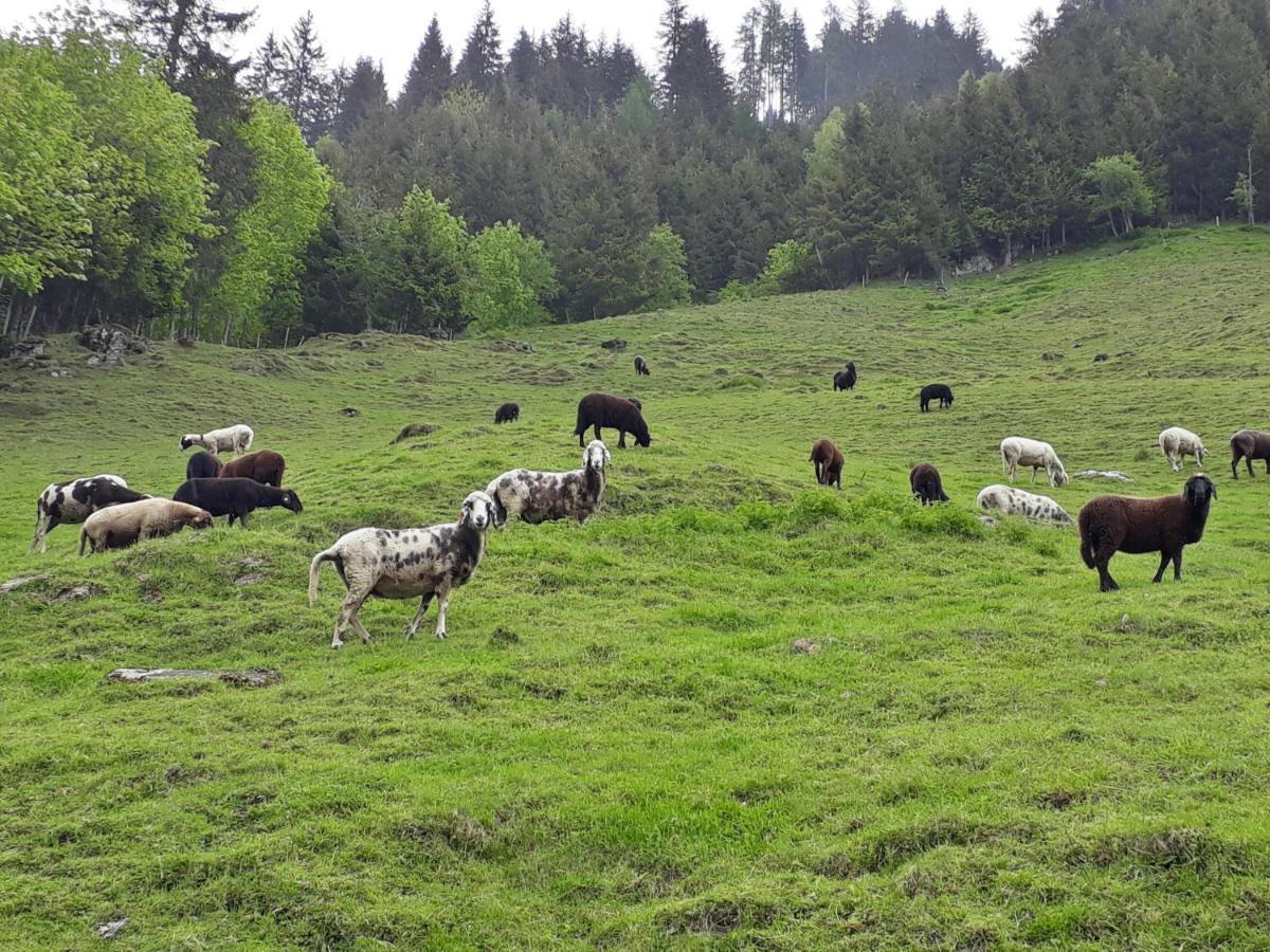 Stallerhof Hüttschlag Exteriér fotografie